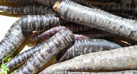 El curioso origen del color de las zanahorias