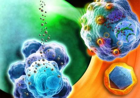 Nanoparticulas de hierro, posible opcion contra el cancer.