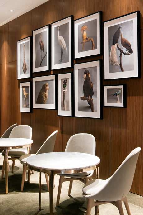 EL CLÁSICO RENOVADO POR HECKER GUTHRIE