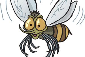 Aceites esenciales para las picaduras