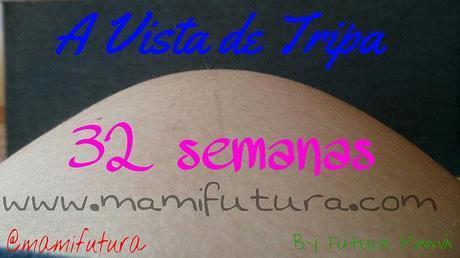 A Vista de Tripa XXVIII