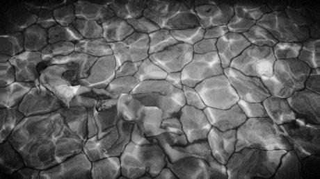 Snapmatic Edition N°2 (yIII): Leftovers