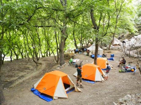 Larvas de libélula después de una muda. Río Assif n'Ouarhou. Atlas marroquí