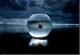 El significado de soñar con acuarios o peceras. ¿Cómo te ves a ti mismo? sueño con una pecera o acuario