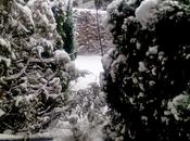 primera nevada...😃😃😃