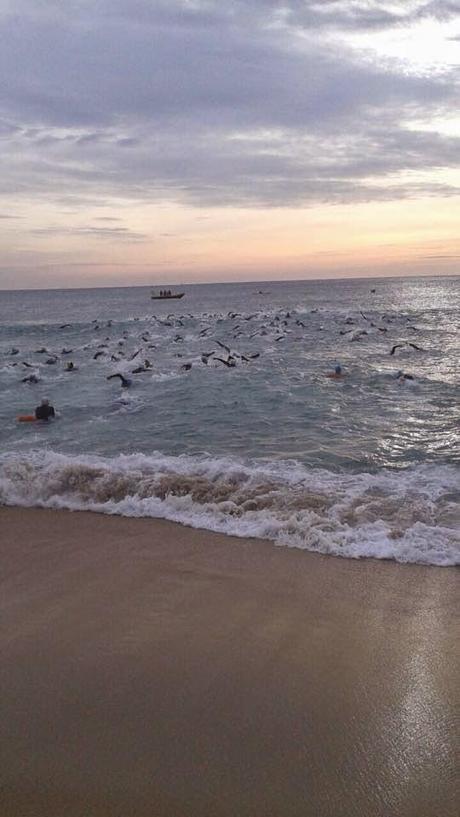 Sailfish Swim Silvestre 2014