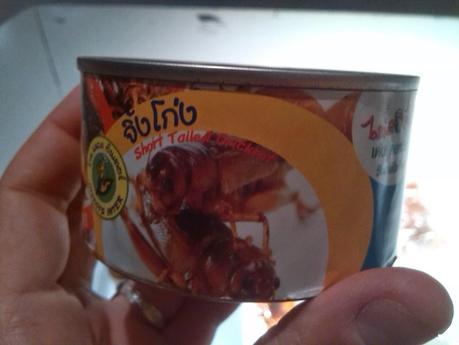 Los insectos... ¿enemigos o aliados del ser humano?