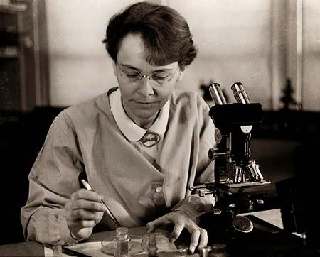 La Nobel de la genética, Barbara McClintock (1902-1992)