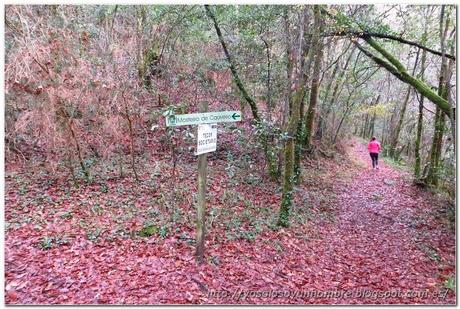 Ruta running por las Fragas del Eume o correr como un niño con sandalias nuevas