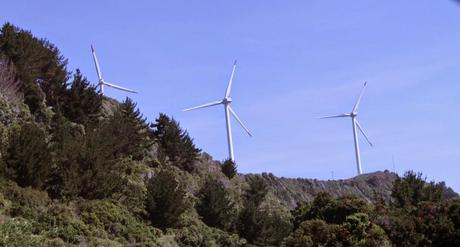 Energías Renovables superan los 2 mil MW instalados en Chile y generación casi triplica la obligación de la ley