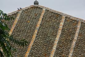 Curiosidades de Segovia II