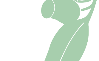 Remedios para los mocos: vapor