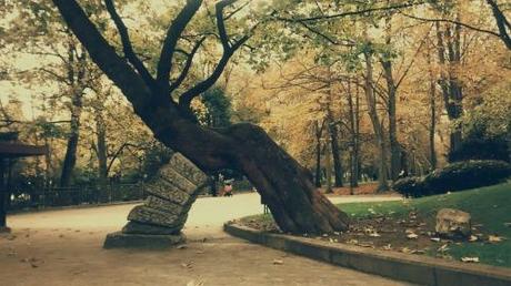 Invierno en Oviedo. Digital, edición con VSCO.
Parque de San...