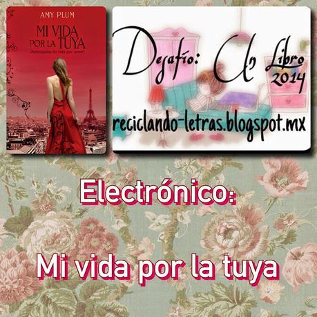 [RETOS 2014] Resumen