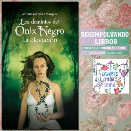 [RETOS 2014] Resumen