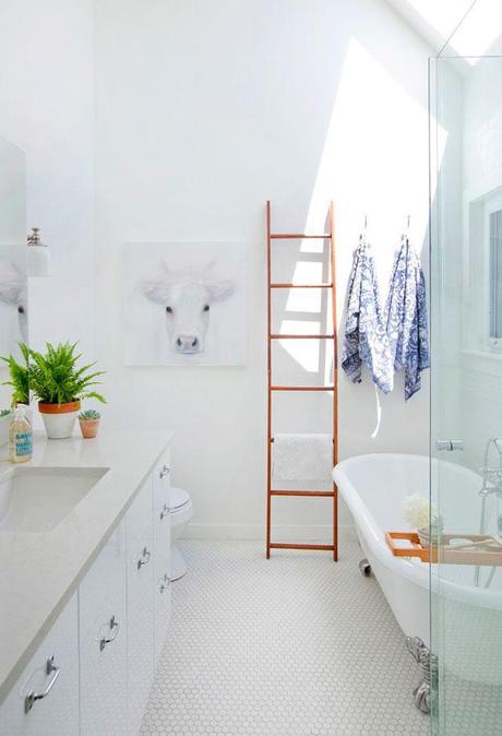 La mirada de Janis Nicolay