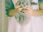 Recopilación fotografías...