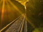 Organización Federativa trabajando arranque próximo