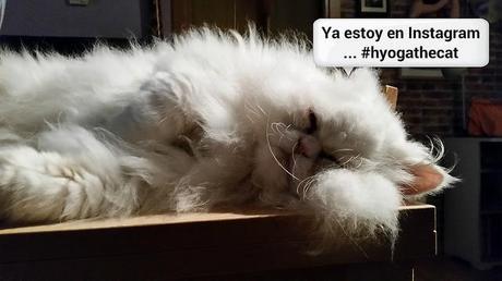 estamos tan agustito