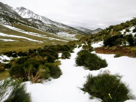 Las Carvas-Sierra Molaita