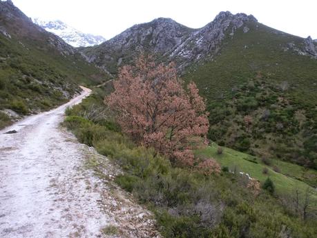 Las Carvas-Sierra Molaita