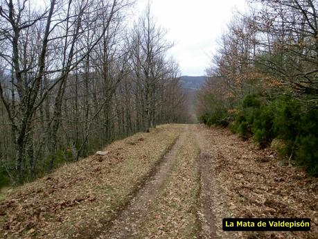 Las Carvas-Sierra Molaita