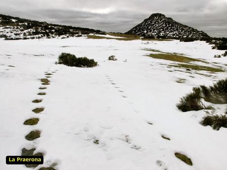 Las Carvas-Sierra Molaita