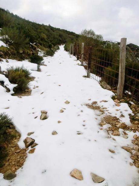 Las Carvas-Sierra Molaita