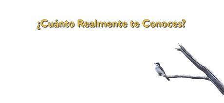 Cuánto Realmente te Conoces