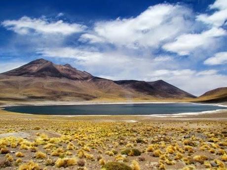 Laguna altiplánica Miñiques. Atacama. Chile