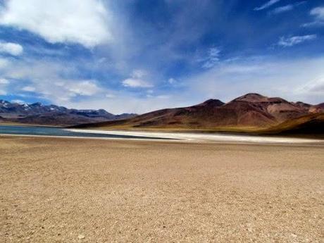 Laguna altiplánica Miñiques. Atacama. Chile