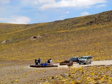 Laguna altiplánica Miñiques. Atacama. Chile