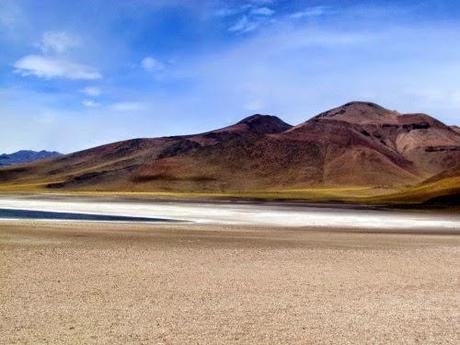 Laguna altiplánica Miñiques. Atacama. Chile