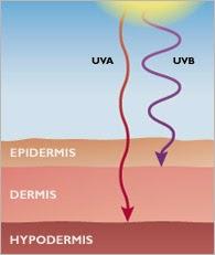 No todos los protectores solares previenen las arrugas.