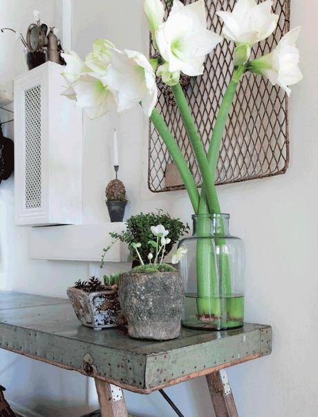 Una casa navideña que me rechifla