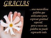 ¡Gracias!