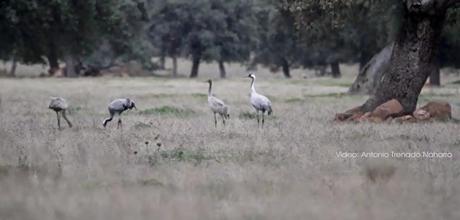 Video: invierno de Capilla a Chillón