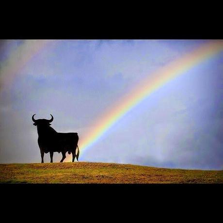 NO SOLO HAY ESPERANZA: HAY CERTEZA DE QUE LOS ESPAÑOLES LO CONSEGUIREMOS, por Vicente Jiménez