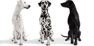 Los artículos más importantes del 2014