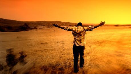 Los artículos más importantes del 2014