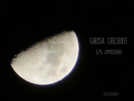 gibosa2