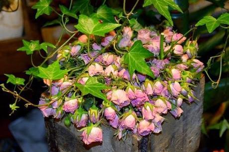 Ideas para la carta a los Reyes