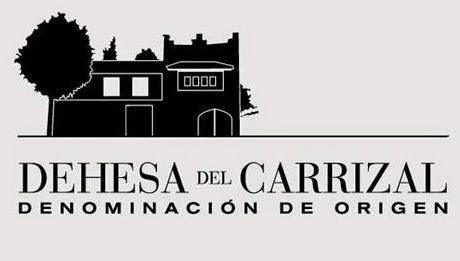 Tinto Syrah Crianza 2009, de Dehesa del Carrizal.