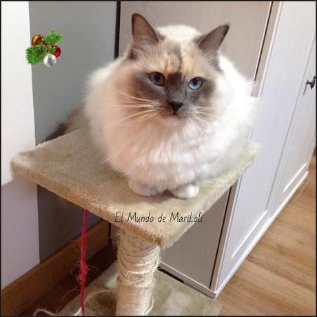 La última entrada del año.....para mis hijos!!!