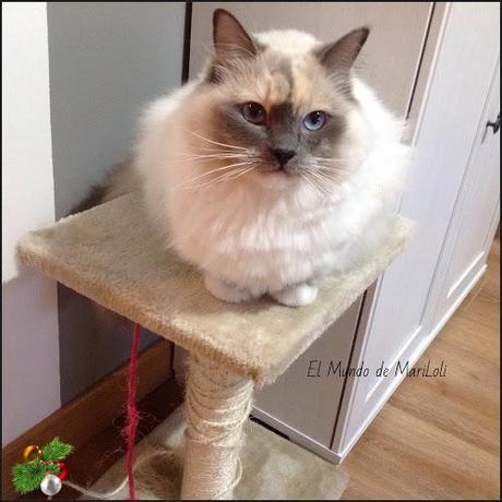 La última entrada del año.....para mis hijos!!!