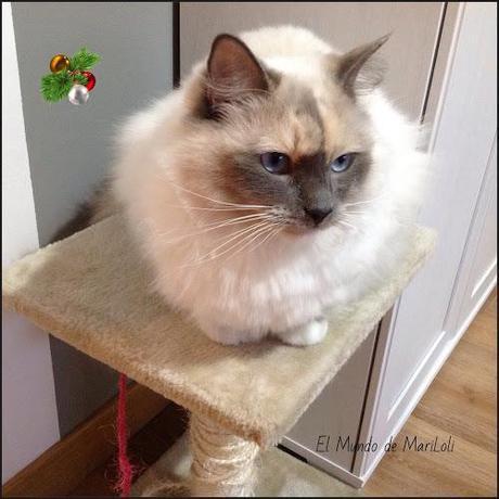 La última entrada del año.....para mis hijos!!!