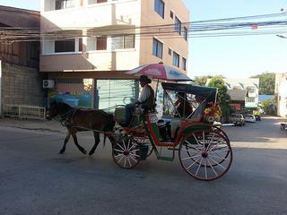 De Bangkok a Chiang Mai parándome a ver los elefantes. 2014-11-25 16.15.30