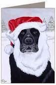 Feliz Año a todos los perros labradores y mascotas