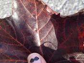 estoy segura estas palabras mías