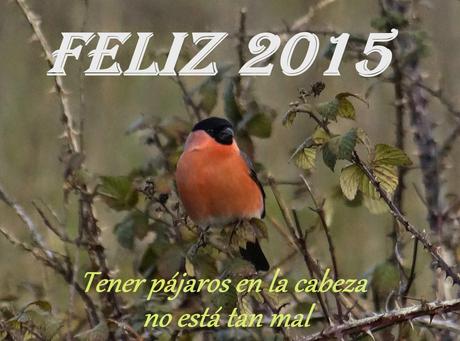 FELIZ 2015